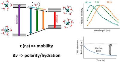 What Does Time-Dependent Fluorescence Shift (TDFS) in Biomembranes (and Proteins) Report on?